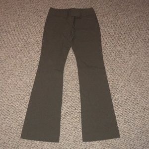 The Limited dress pants